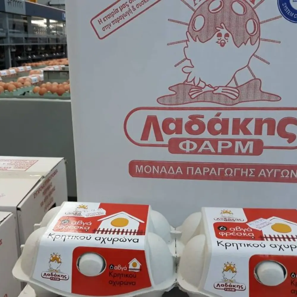 Κότες στη φάρμα Λαδάκης στην Κρήτη
